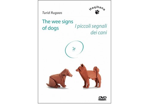 The Wee signs of dogs