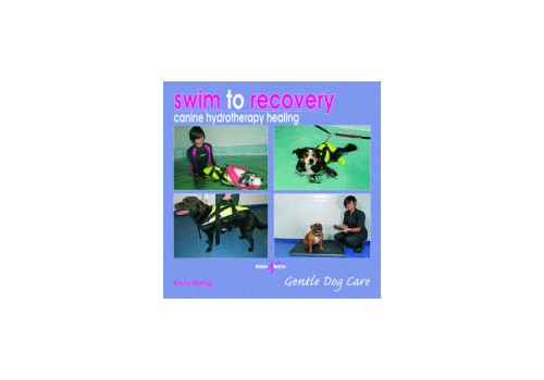 Swim to Recovery: Canine hydrotherapy healing. Gentle Dog care