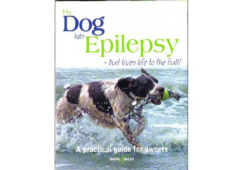 My dog has Epilepsy - but lives life to the full!