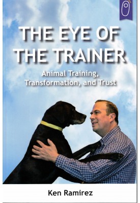 The Eye of the Trainer
