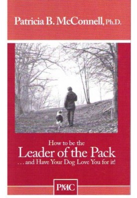 HOW TO BE THE LEADER OF THE PACK